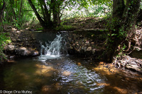 Arroyo