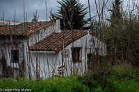 Collado