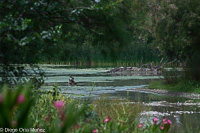 Laguna de Fuente del Rey