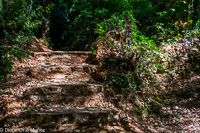 Escalera