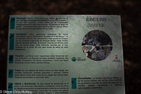 Cartel