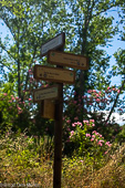 caminos