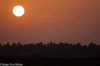Atardecer
