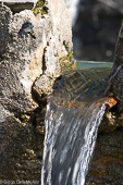 Fuente